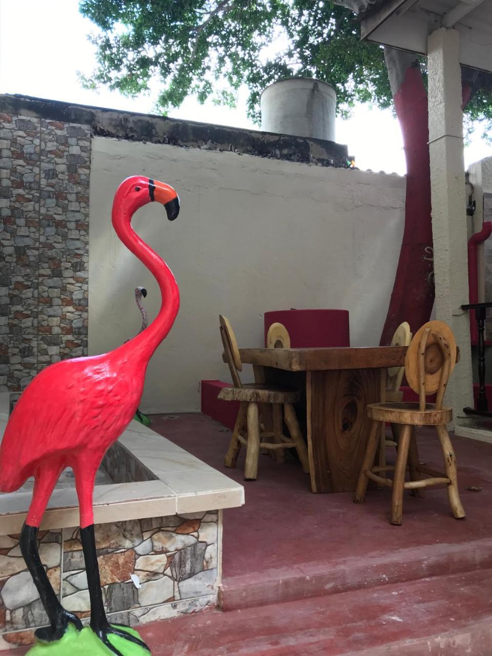 Mi Casa Hostel Ríohacha Екстериор снимка